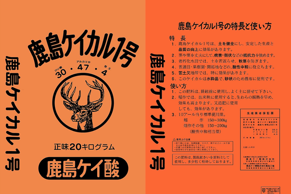 盛り付け例